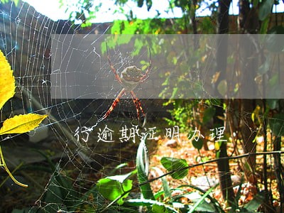 行逾期证明办理 行逾期证明办理