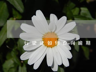 行驶证如何查询逾期 行驶证如何查询逾期