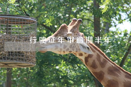 行驶证年审逾期半年 行驶证年审逾期半年
