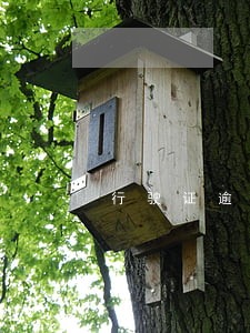 行驶证逾期一个月 行驶证逾期一个月