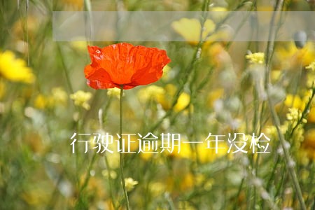 行驶证逾期一年没检