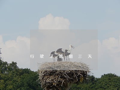 行驶证逾期三天 行驶证逾期三天