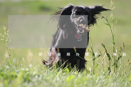 行驶证逾期办理多久刷新 行驶证逾期办理多久刷新