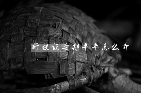 行驶证逾期半年怎么弄