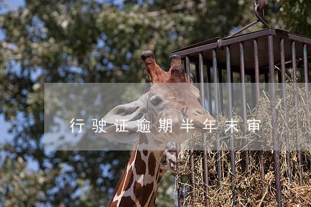 行驶证逾期半年末审 行驶证逾期半年末审