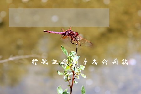 行驶证逾期多久会罚款 行驶证逾期多久会罚款