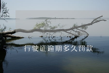 行驶证逾期多久罚款 行驶证逾期多久罚款