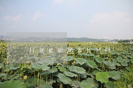 行驶证逾期多长时间 行驶证逾期多长时间