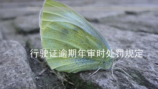 行驶证逾期年审时处罚规定 行驶证逾期年审时处罚规定
