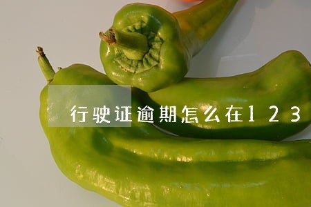 行驶证逾期怎么在123办理