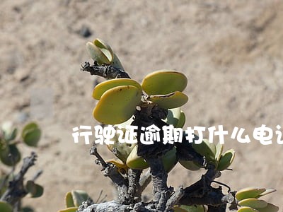 行驶证逾期打什么电话查询 行驶证逾期打什么电话查询