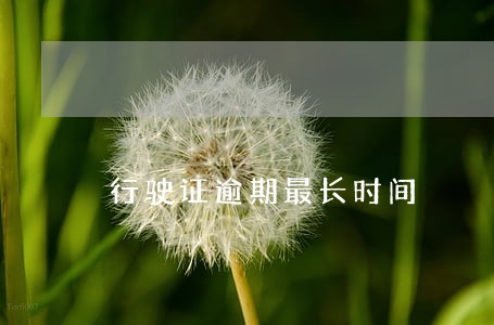 行驶证逾期最长时间 行驶证逾期最长时间