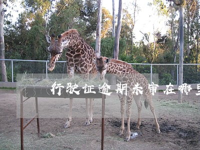 行驶证逾期未审在哪里办理 行驶证逾期未审在哪里办理