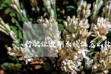 行驶证逾期未换证怎么处罚规定 行驶证逾期未换证怎么处罚规定