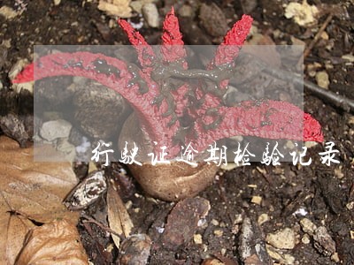 行驶证逾期检验记录 行驶证逾期检验记录