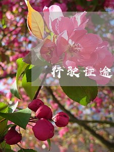 行驶证逾期滞纳金 行驶证逾期滞纳金