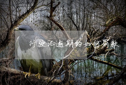 行驶证逾期的如何罚款 行驶证逾期的如何罚款