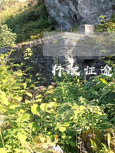 行驶证逾期的规定 行驶证逾期的规定
