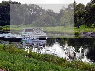 行驶证逾期罚款单 行驶证逾期罚款单