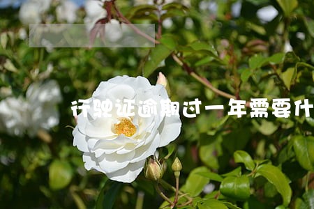 行驶证逾期过一年需要什么证明 行驶证逾期过一年需要什么证明