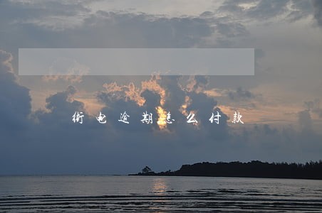 街电逾期怎么付款 街电逾期怎么付款