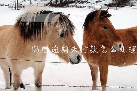 街电逾期未付款怎么处理 街电逾期未付款怎么处理