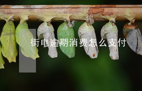 街电逾期消费怎么支付 街电逾期消费怎么支付