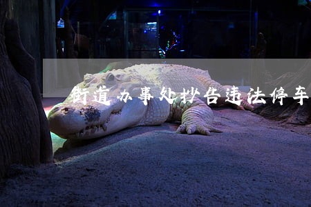 街道办事处抄告违法停车 街道办事处抄告违法停车