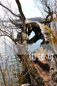 街道可以处理物业合同纠纷吗 街道可以处理物业合同纠纷吗