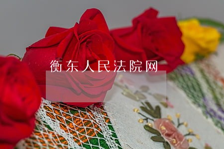 衡东人民法院网 衡东人民法院网