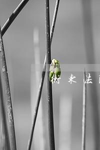 衡东法院房产拍卖网 衡东法院房产拍卖网