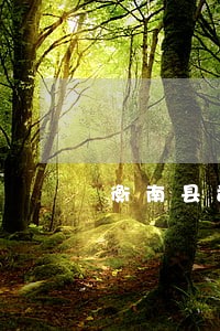 衡南县司法局邹龙