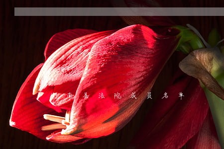 衡南县法院成员名单