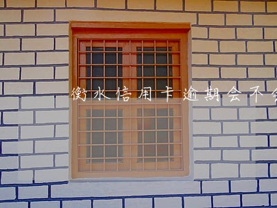 衡水信用卡逾期会不会上门 衡水信用卡逾期会不会上门