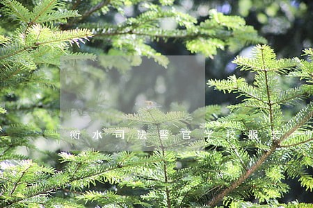 衡水司法警官学校服装 衡水司法警官学校服装