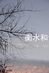 衡水和创中介违法 衡水和创中介违法