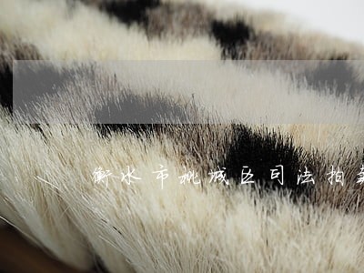 衡水市桃城区司法拍卖网房产
