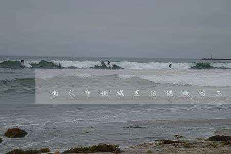 衡水市桃城区法院执行三庭