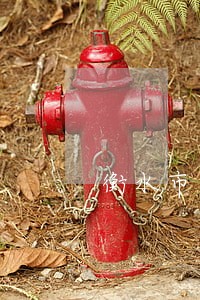 衡水市车贷逾期非法拖车案件 衡水市车贷逾期非法拖车案件