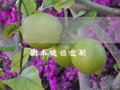 衡水捷信逾期 衡水捷信逾期