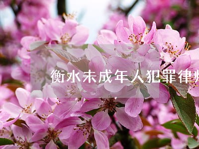 衡水未成年人犯罪律师在线咨询 衡水未成年人犯罪律师在线咨询