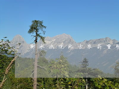 衡水法院北方农药重整 衡水法院北方农药重整