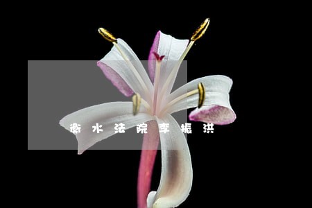 衡水法院李振洪 衡水法院李振洪