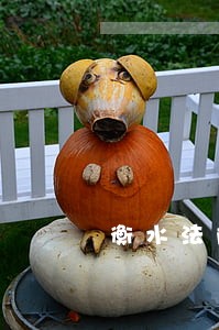 衡水法院王玉简历 衡水法院王玉简历