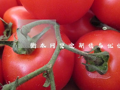 衡水网贷逾期债务优化怎么收费 衡水网贷逾期债务优化怎么收费