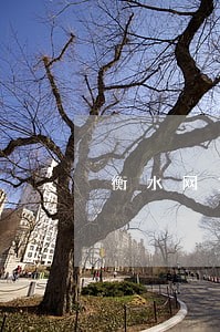 衡水网贷逾期律师咨询免费 衡水网贷逾期律师咨询免费