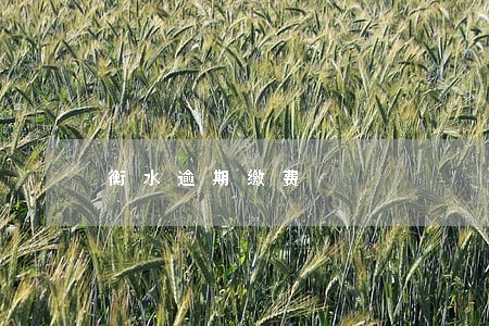 衡水逾期缴费 衡水逾期缴费