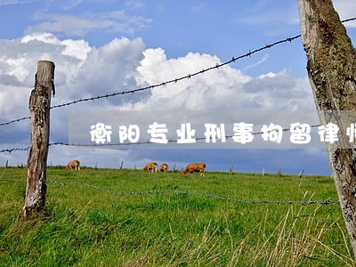 衡阳专业刑事拘留律师咨询