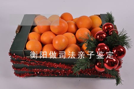 衡阳做司法亲子鉴定 衡阳做司法亲子鉴定