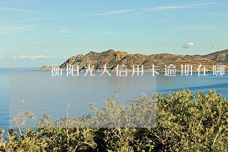 衡阳光大信用卡逾期在哪办理 衡阳光大信用卡逾期在哪办理